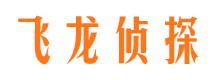 和静市场调查